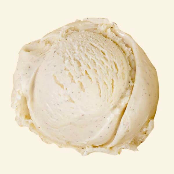 Vanilla Bean Image 2. 